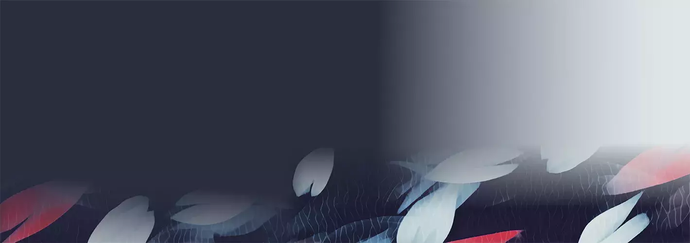 Ilustración decorativa para promocionar congreso internacional hispanistas Camerún Instituto Cervantes