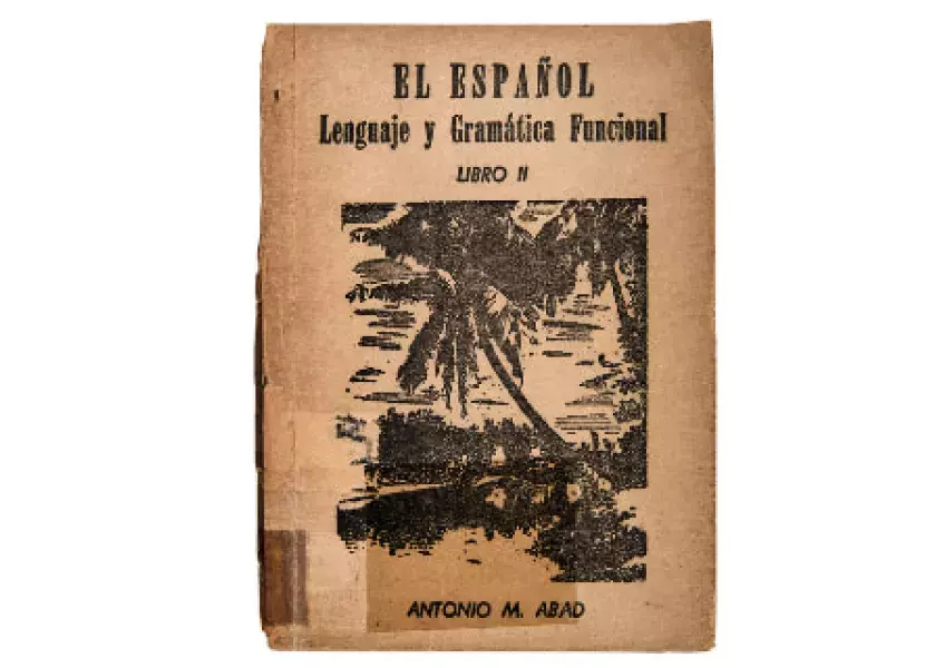 El español: lenguaje y gramática funcional