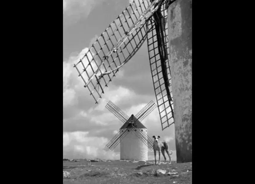 La Mancha