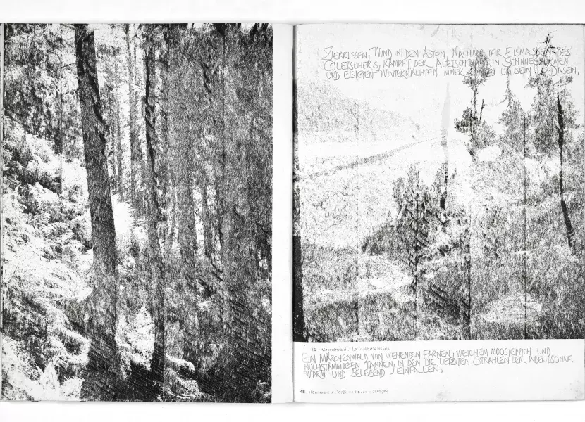 Viertausender: Ein Bildbuch von der Schönheit unserer Alpen