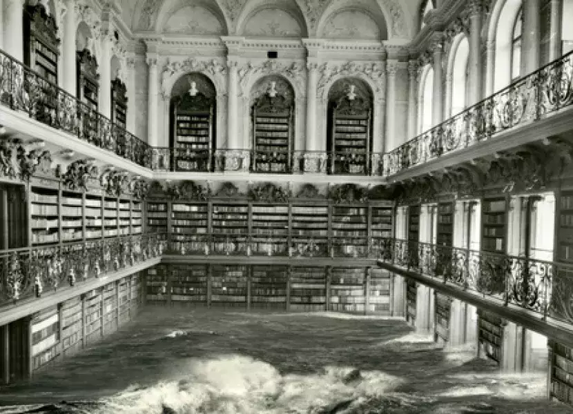 «Biblioteca», de Pablo Genovés (2009).