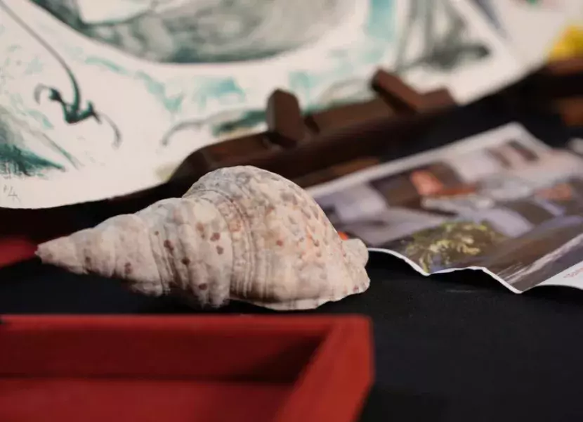 Una caracola junto a otros documentos del legado de Nancy Morejón