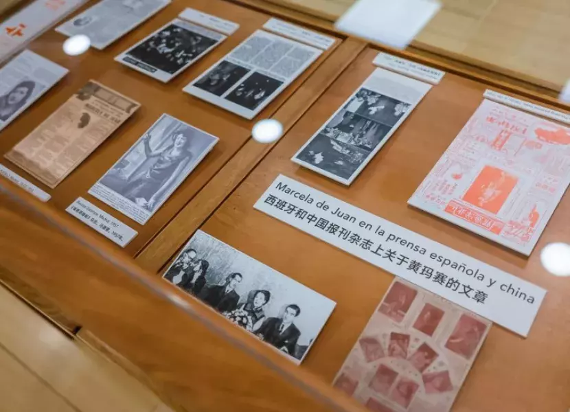 Piezas de la muestra