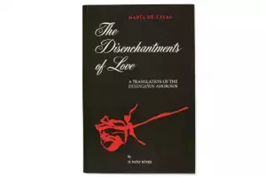 María de Zayas y Sotomayor, The disenchantments of love