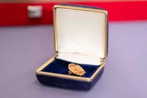 Insignia de oro
