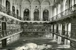 «Biblioteca», de Pablo Genovés (2009).