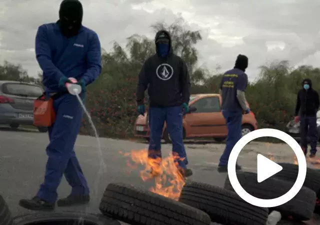 Documental «Hormigas perplejas»