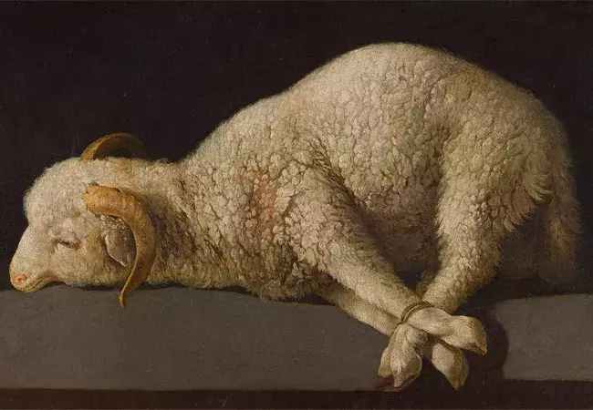 «Agnus Dei», pintura de Francisco de Zurbarán que representa un cordero atado sobre una mesa