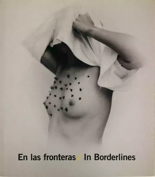 En las fronteras. In Borderlines. Arte latinoamericano en la colección del MEIAC