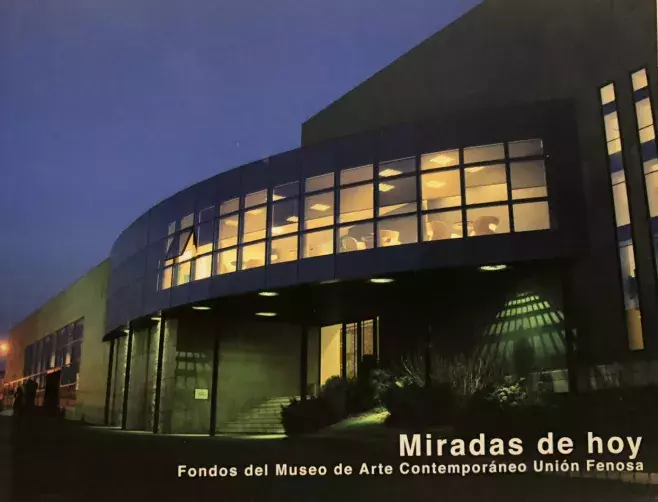 Miradas de hoy. Fondos del Museo de Arte Contemporáneo Unión Fenosa