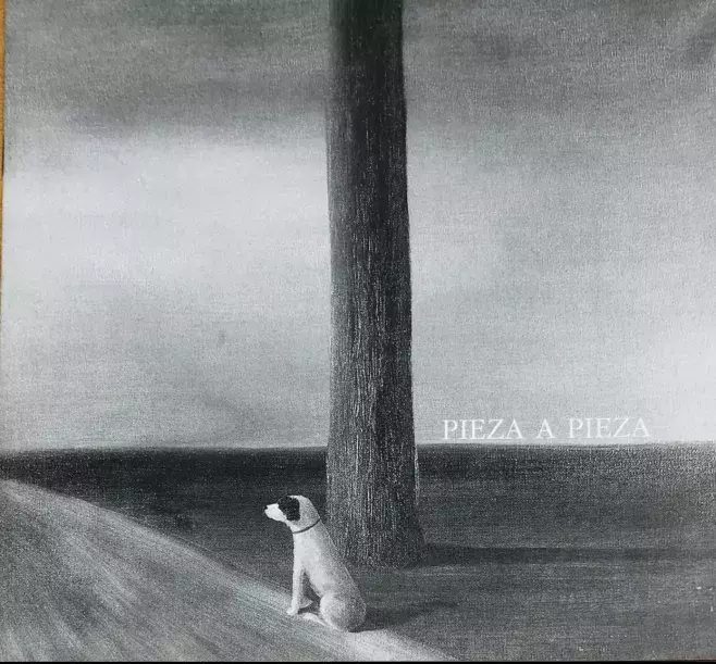 Pieza a pieza / Peça a peça