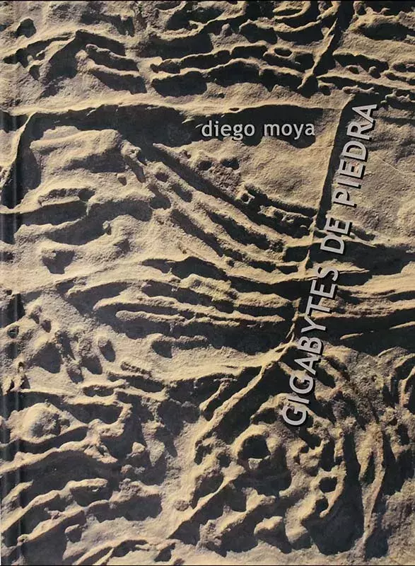 Diego Moya. Gigabytes de piedra