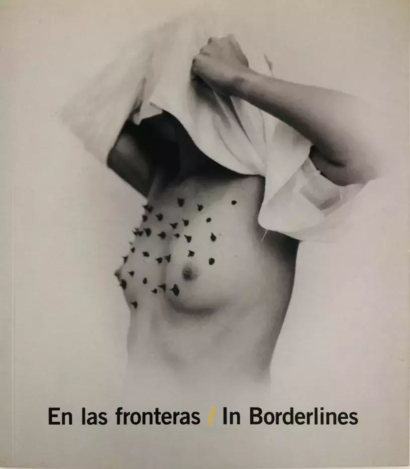 En las fronteras. In Borderlines. Arte latinoamericano en la colección del MEIAC