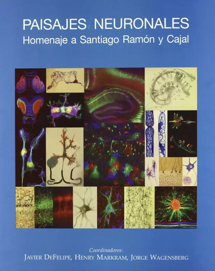 Paisajes neuronales. Homenaje a Santiago Ramón y Cajal