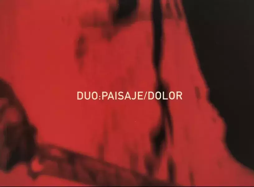 Duo: paisaje / dolor
